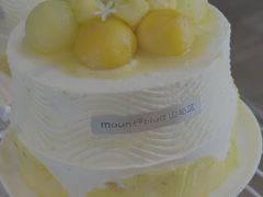 -山与蓝·轻糖鲜果蛋糕(勒泰店)