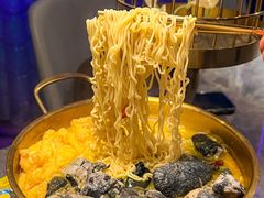 -Darling Queen·Mini·Live·House