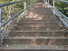 -惠山国家森林公园