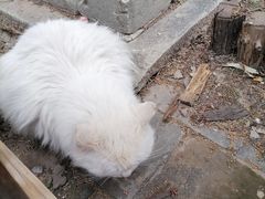 -大觉寺-停车场