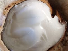 -志龙皇冠吃货椰子铺