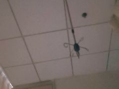 -福建中医药大学附属第二人民医院(本部)