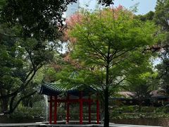 -九龙公园
