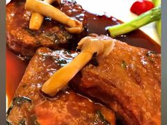 鲍汁自制豆腐-新光酒家·河豚·海鲜·蟹料理(浦东店)