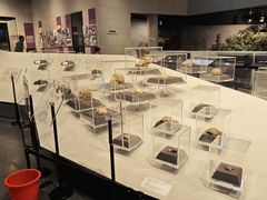 -北京周口店北京人遗址博物馆