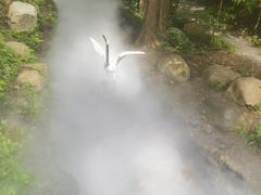 -东明山森林公园