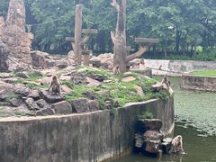 -合肥野生动物园