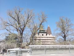 -北京石刻艺术博物馆