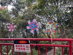 -东莞观音山旅游风景区