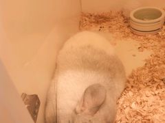 -龙猫仔乐园(惠福东路店)