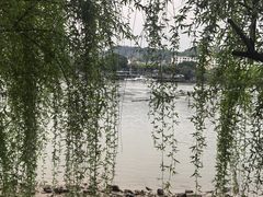 -福道