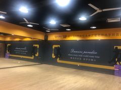 -港龙舞蹈·成人少儿舞蹈培训(深圳湾校区)