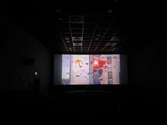 -SFC上影影城(港汇永华IMAX激光店)