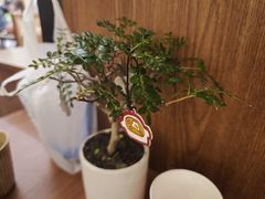 -CURRY YA 熟成咖哩專門店(深圳湾万象城店)