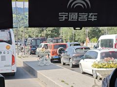 -新疆那拉提国家旅游度假区