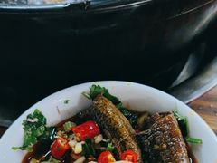 -金海椒罐罐鲢鱼(东方桂苑店)