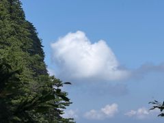 -秦岭天竺山生态文化旅游景区
