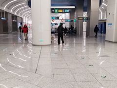 -望京西(地铁站)