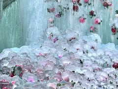 -洛阳白云山景区