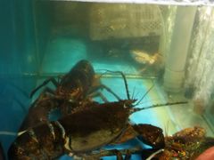 水产区-九层海鲜塔(市南店)
