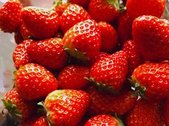 -红星农博物流中心