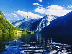 景观位-布劳伽斯特豪夫哈尔施塔特宾馆