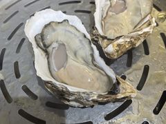 -阿鸡鱼庄·顺德鲜蒸小炒(亚运村店)