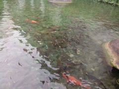 -千岛湖鱼味馆(十字街总店)