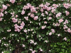 -常熟路(地铁站)