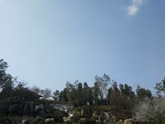 -秀丽东方