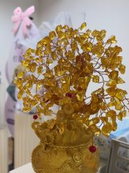 -美肤盾祛痘·问题肌头疗管理中心