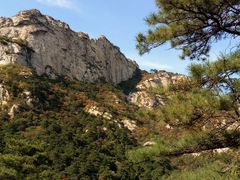 -大芦花风景区
