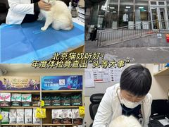 -美联众合爱康动物医院•复杂内科•肿瘤科•牙科•腔镜诊疗中心