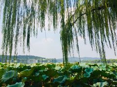 -湖畔居茶楼(湖滨店)