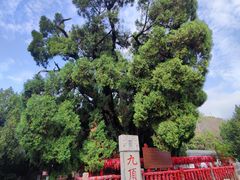 -四门塔风景区