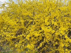 -长春公园(普阳街道)