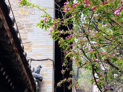 -潭柘寺景区