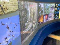 -上海昆虫博物馆