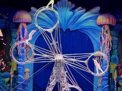 -海合安武汉极地海洋公园