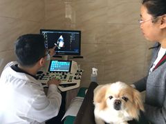 -安安宠医·安宠宠物医院