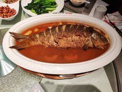 -阿五黄河大鲤鱼(纬三路店)