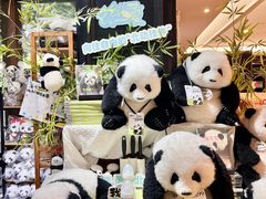 -轩客会(熊猫书店)
