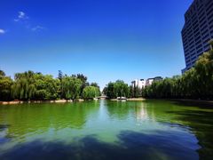 -团结湖公园