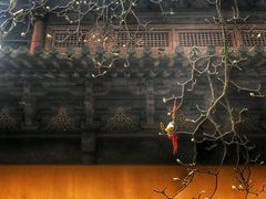 -宝岩生态观光园