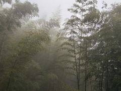-仙霞关景区