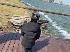 -上海滴水湖皇冠假日酒店