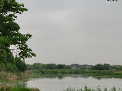 -贡湖湾湿地公园