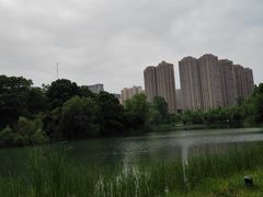 -洋湖国家湿地公园