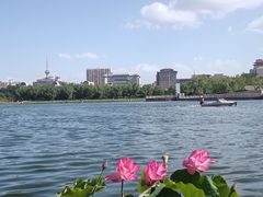 -莲花池公园