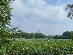 -苏州上方山国家森林公园